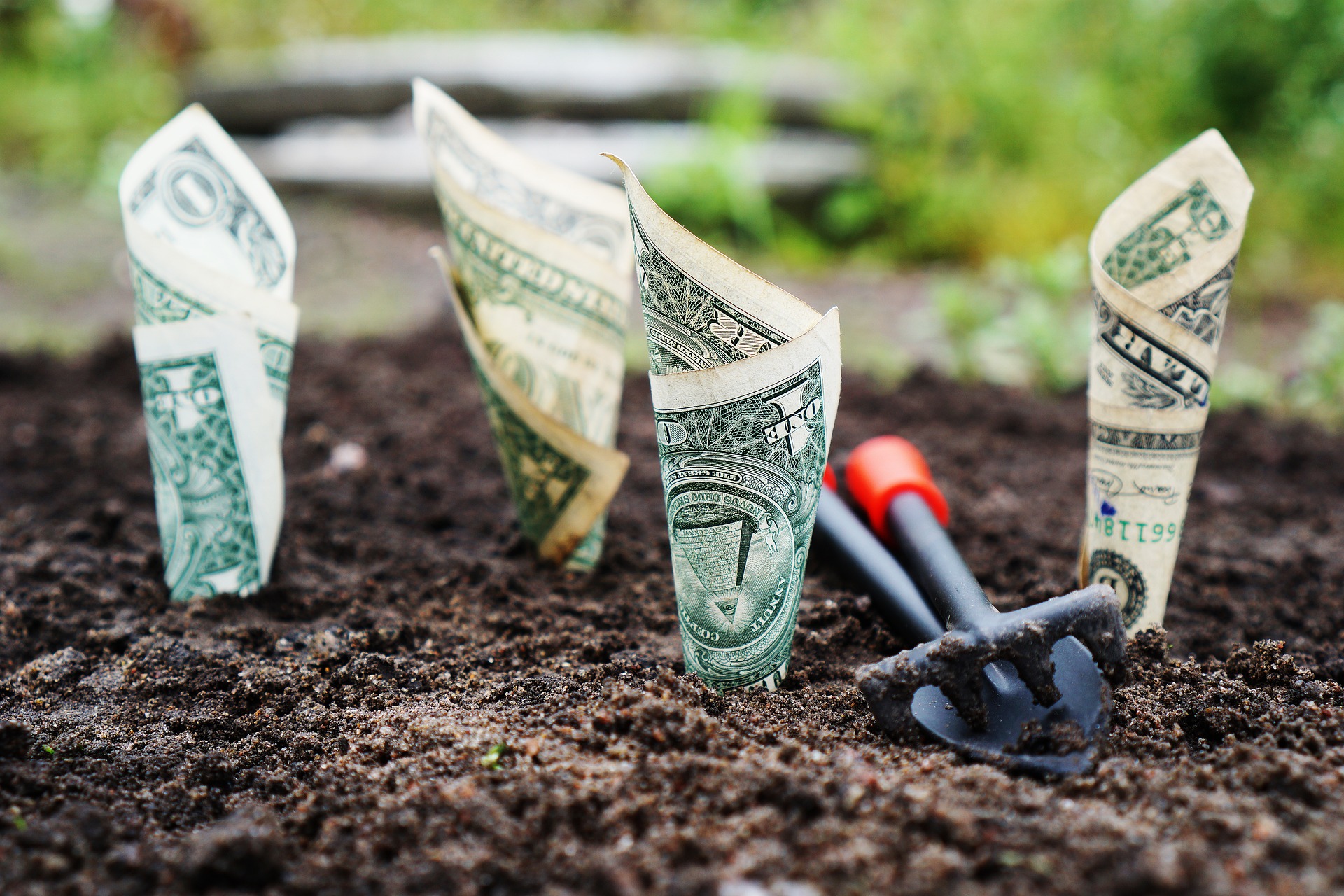 A garden patch of turned over soil and gardening tools with one dollar bills planted in a circular shape as if to signify planting your one dollar bills correctly they will grow into more in the future.
